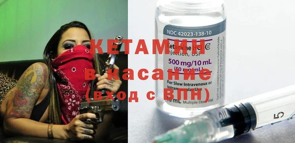 индика Алзамай