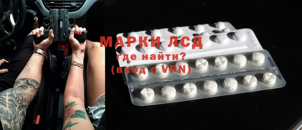 индика Алзамай