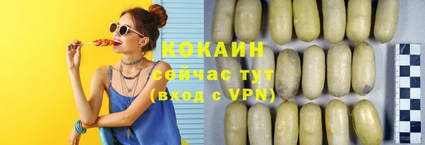 индика Алзамай