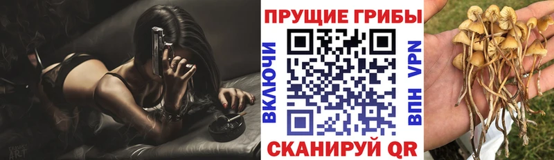Галлюциногенные грибы мицелий  где купить   Алупка 